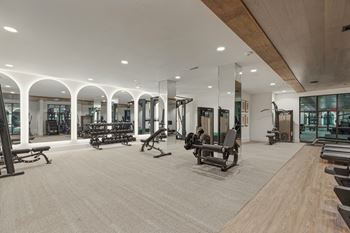 Fitness lounge with cardio theater, strength equipment, and free weights